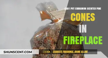 Cinnamon Scented Pine Cones in Fireplace: Safe or Hazardous?