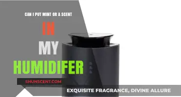 Mint or Scents in Your Humidifier: Safe or Risky Practice?