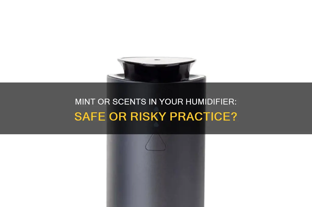 can i put mint or a scent in my humidifer