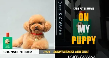 Perfume on Puppies: Safe or Not?