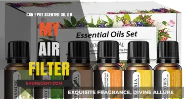 Can You Use Scented Oils on Air Filters? Pros, Cons, and Safety Tips