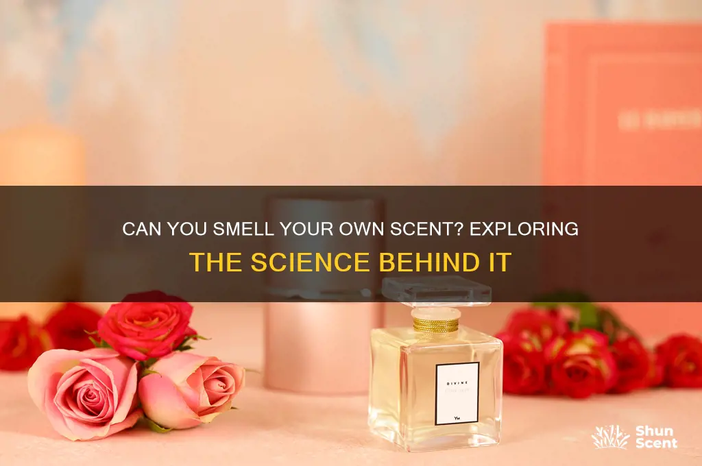 can i smell my own scent
