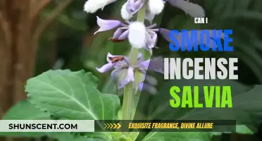 Incense, Salvia, and Smoking: What's the Deal?