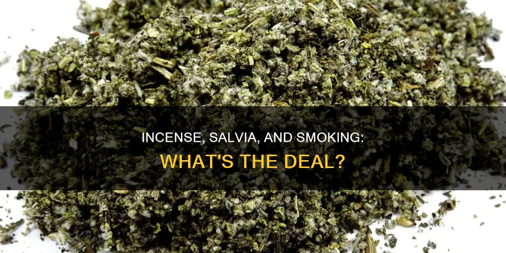 can i smoke incense salvia