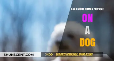 Perfumes for Humans: Are They Safe for Dogs?