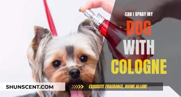 Should You Spray Your Dog with Cologne?