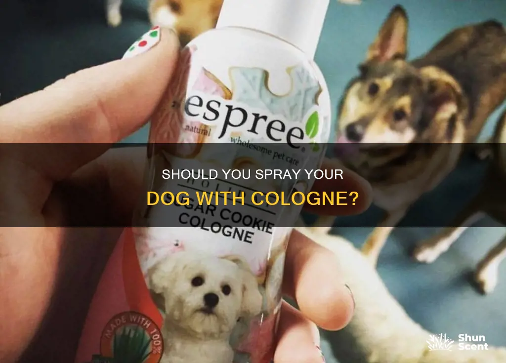 can i spray my dog with cologne