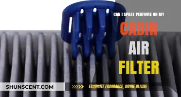 Perfuming Your Cabin Air Filter: Safe or Not?