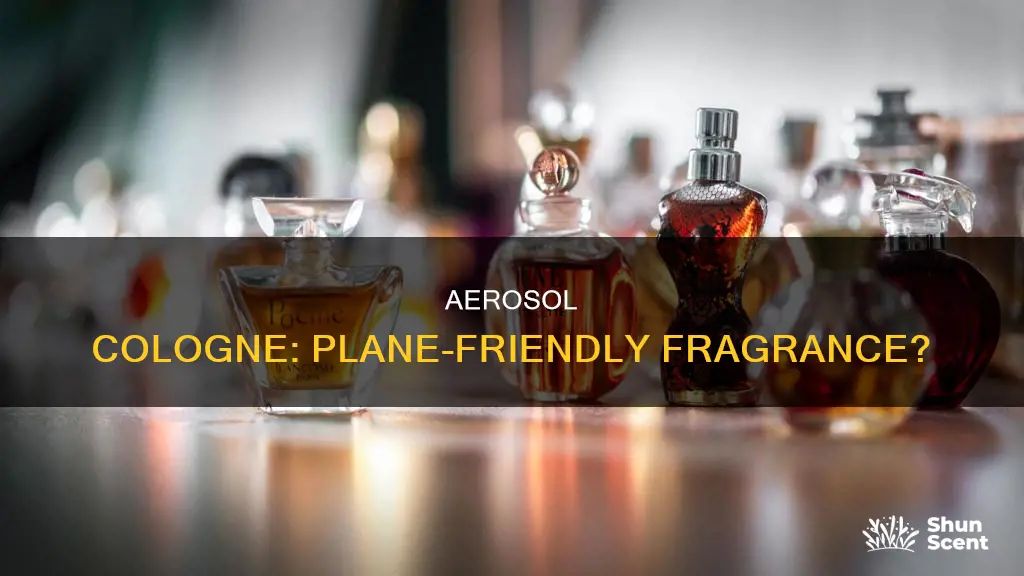 can i take aerosol cologne on a plane