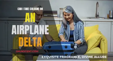 Traveling with Cologne: Delta's Airplane Rules and Regulations