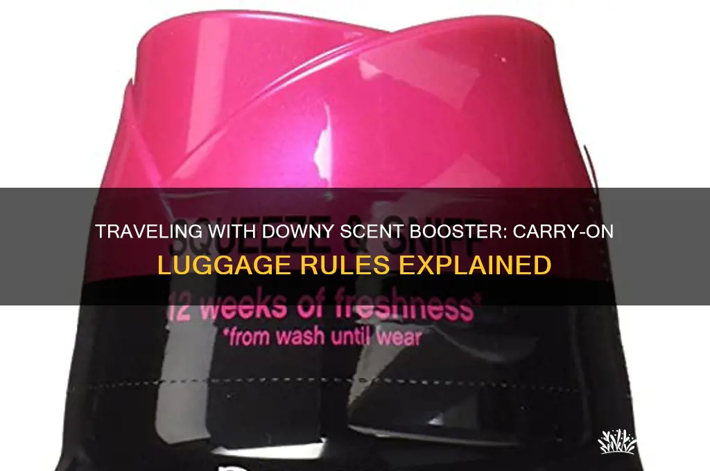 can i take downy scent booster in my carry on