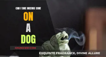 Incense Cones: Safe for Dogs or a Health Hazard?