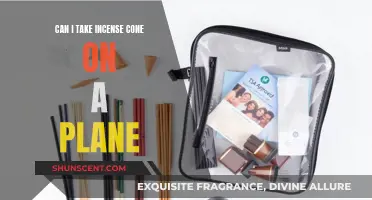 Incense Cones: Allowed Aboard or Left on the Ground?