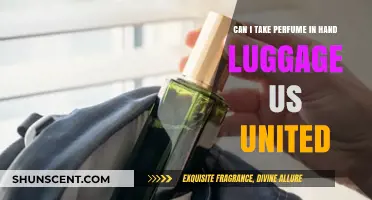 Hand luggage: Can I bring perfume on a United flight?