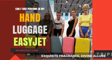 Hand Luggage Liquid Rules: Can I Take Perfume?