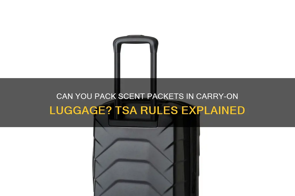 can i take scent packets in my carry on