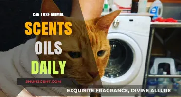 Daily Use of Animal Scent Oils: Benefits, Safety, and Tips
