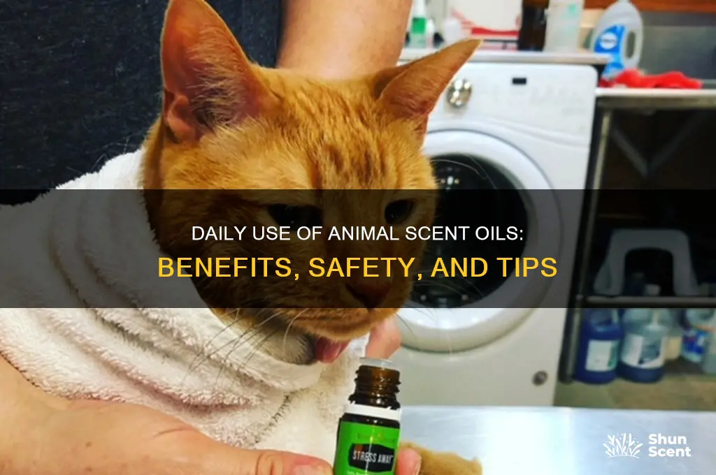can i use animal scents oils daily