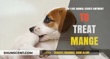 Using Animal Scents Ointment for Mange Treatment: Safe or Risky?