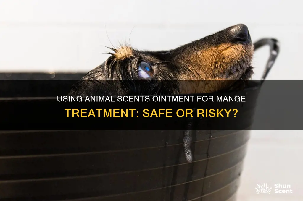 can i use animal scents ointment to treat mange