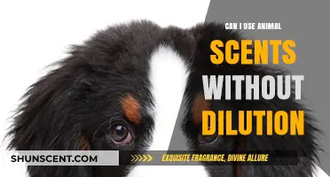 Using Animal Scents Safely: Dilution Guidelines and Best Practices