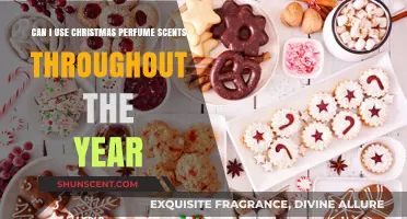Year-Round Festive Fragrance: Can Christmas Perfumes Work Anytime?