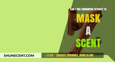 Using Cinnamon Extract to Mask Scents: Does It Really Work?