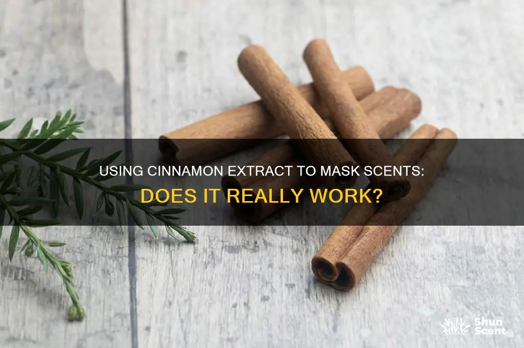 can i use cinnamon extract to mask a scent