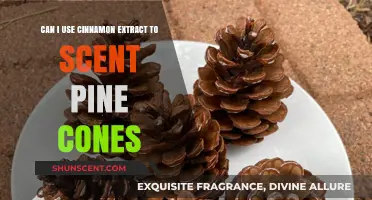 Scenting Pine Cones with Cinnamon Extract: A Natural DIY Guide