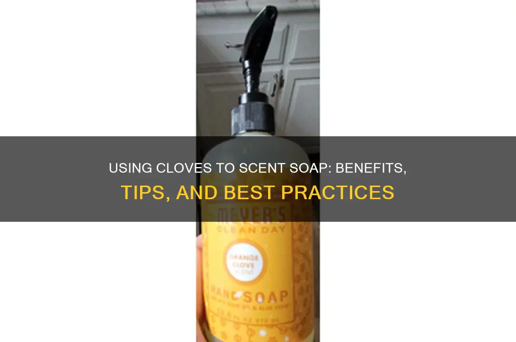 can i use cl9ves to scent my soap
