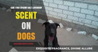 Using Epsom Salt with Lavender Scent on Dogs: Safe or Risky?