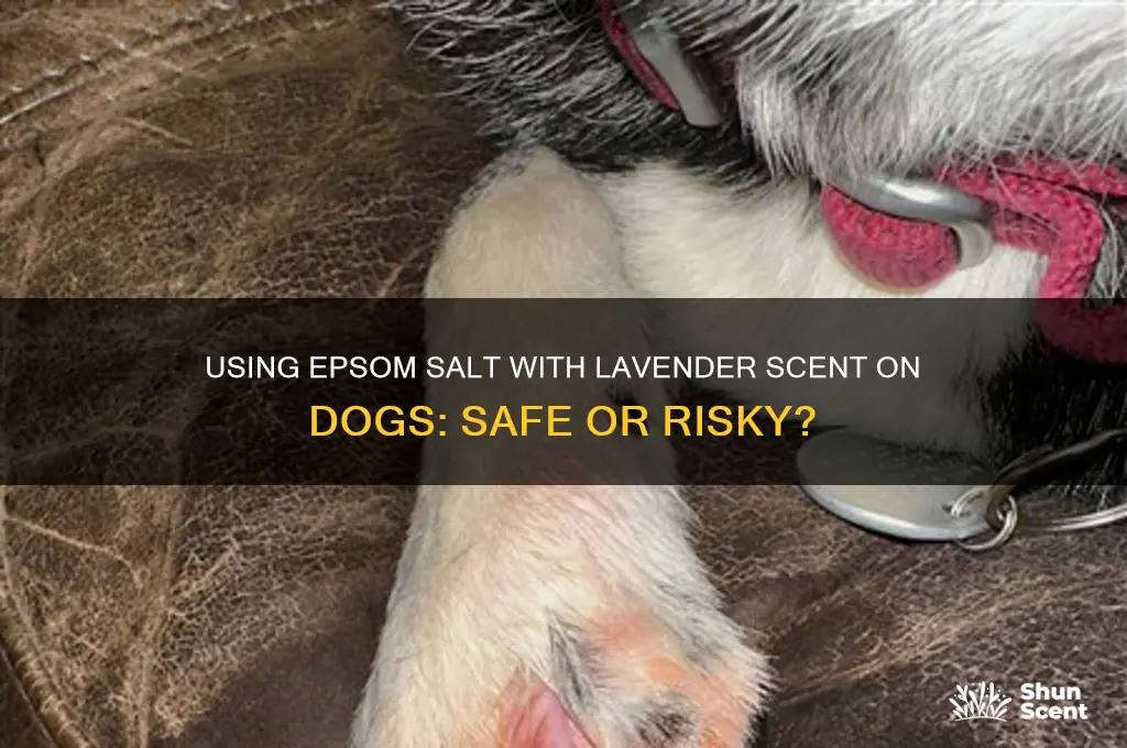 can i use epsom salt lavendar scent on dogs