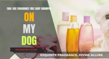 Using Fragrance-Free Baby Shampoo on Dogs: Safe or Not?