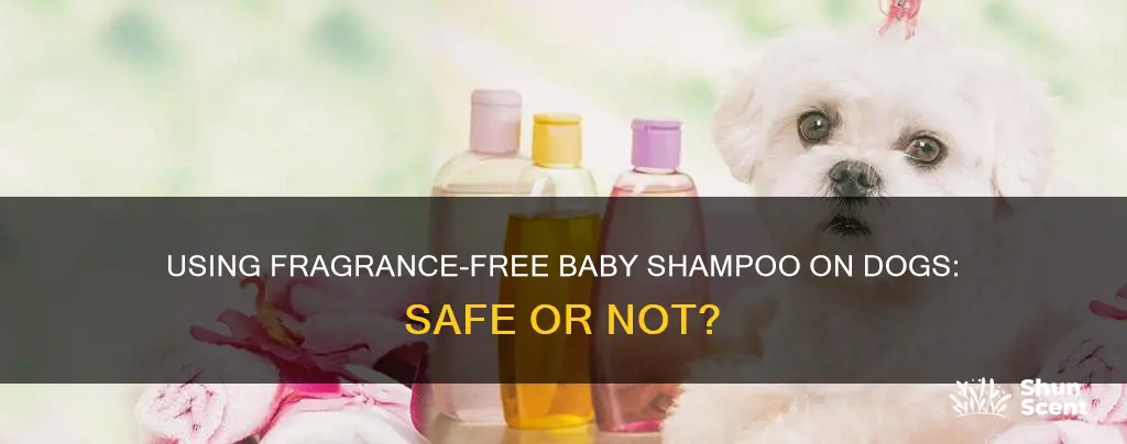 can i use fragrance free baby shampoo on my dog