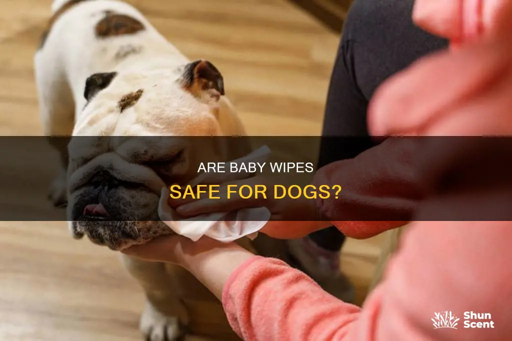 can i use fragrance free baby wioes on dogs