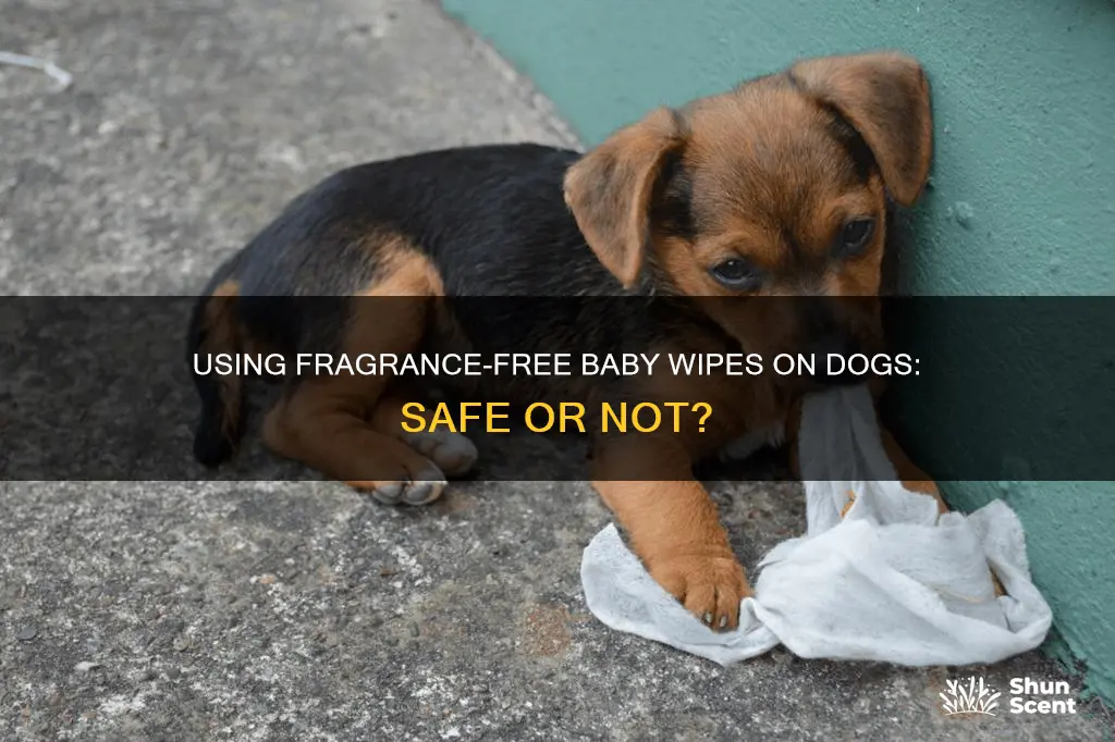 can i use fragrance free baby wipes on my dog