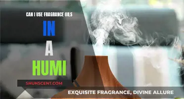 Using Fragrance Oils in a Humidifier: Safe or Not?