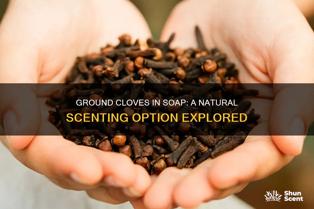 can i use ground cloves to scent my soap