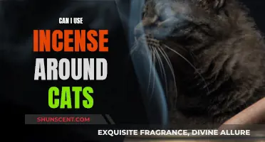 Incense Around Cats: Safe or Toxic?