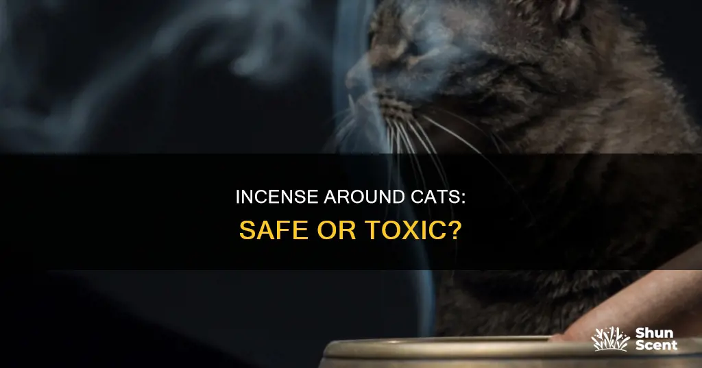 can i use incense around cats
