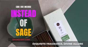 Incense vs Sage: Exploring Alternatives for Spiritual Cleansing