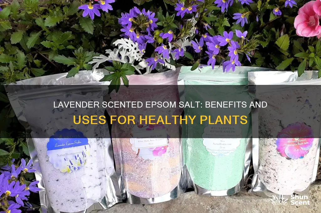 can i use lavender scented epsom salt for plants