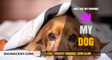 Perfumes for Dogs: Safe or Not?
