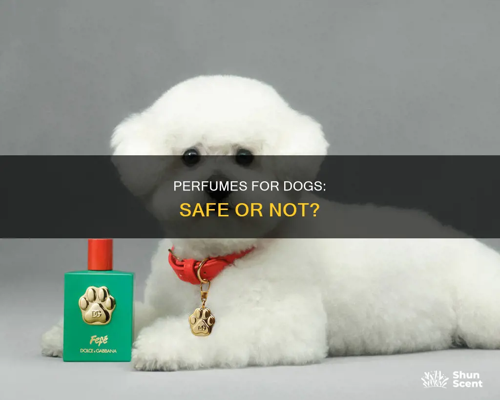 can i use my perfume on my dog
