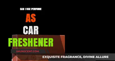 Perfumes as Car Fresheners: A Good Idea?