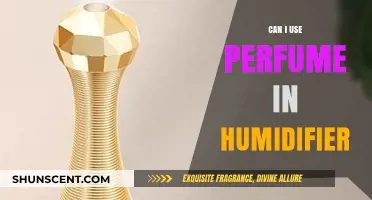 Using Perfumes in Humidifiers: Safe or Not?