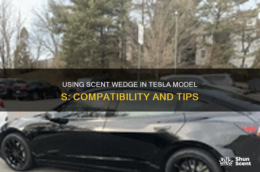 can i use scent wedge in model s