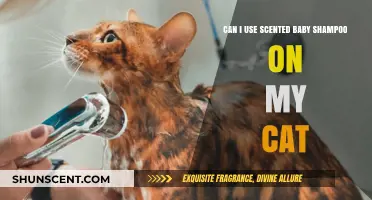 Is Scented Baby Shampoo Safe for Bathing Your Cat?