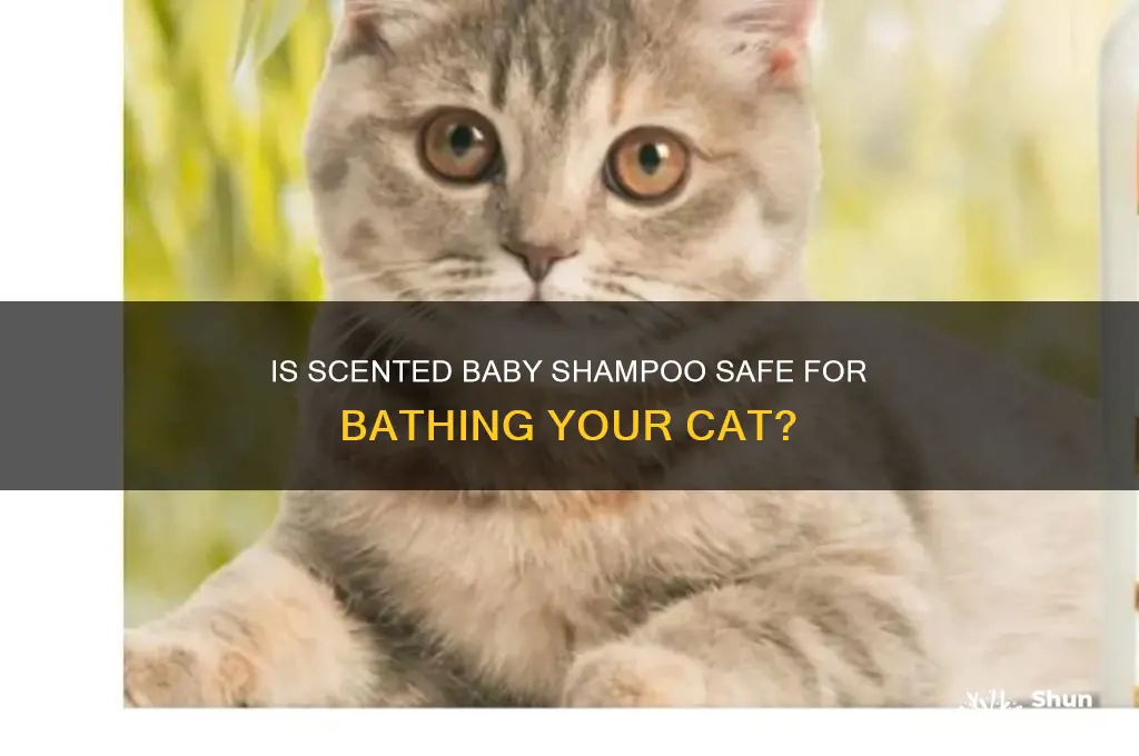 can i use scented baby shampoo on my cat