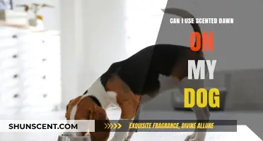 Is Scented Dawn Dish Soap Safe for Bathing Your Dog?